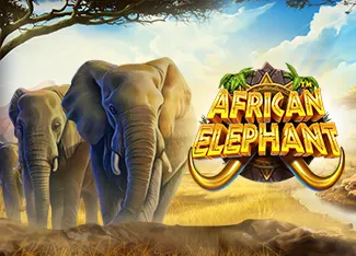 Pragmatic : African Elephant - PLACEBET138